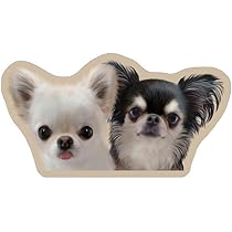 Amazon | 【予約販売】 チワワのUNI＆EBI 犬 ステッカー 3枚セット